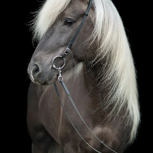 Exempel på fotografiet kunden laddar upp